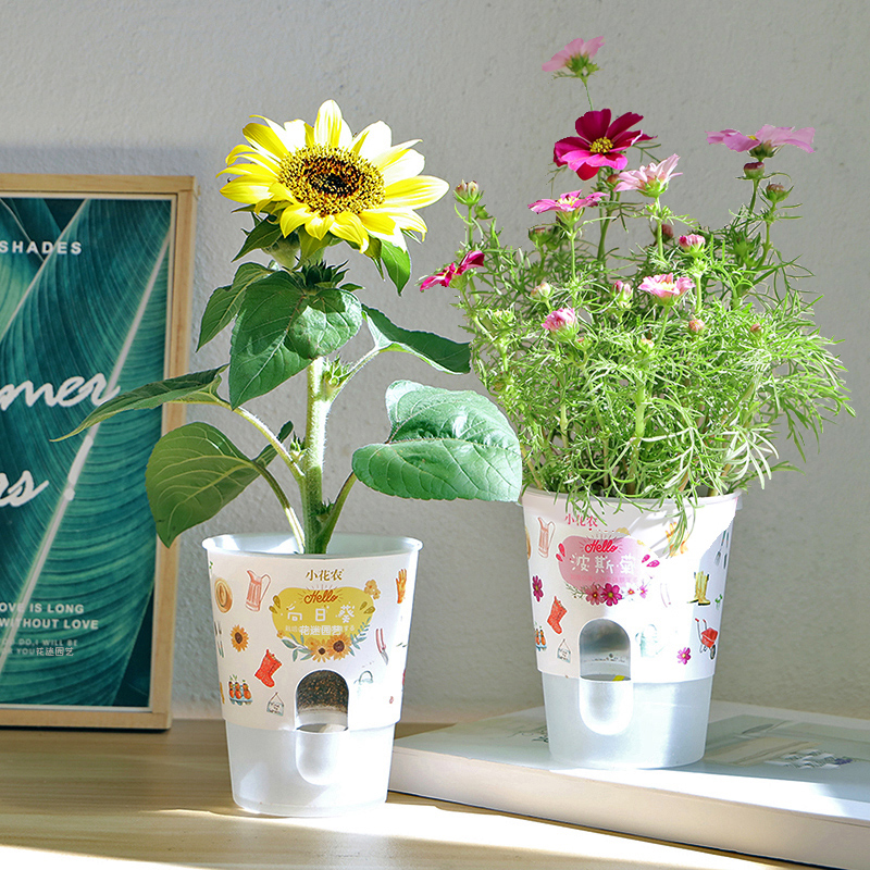 小花农罐头桌面迷你盆栽植物种子发芽观察幼儿园儿童创意植杯礼物