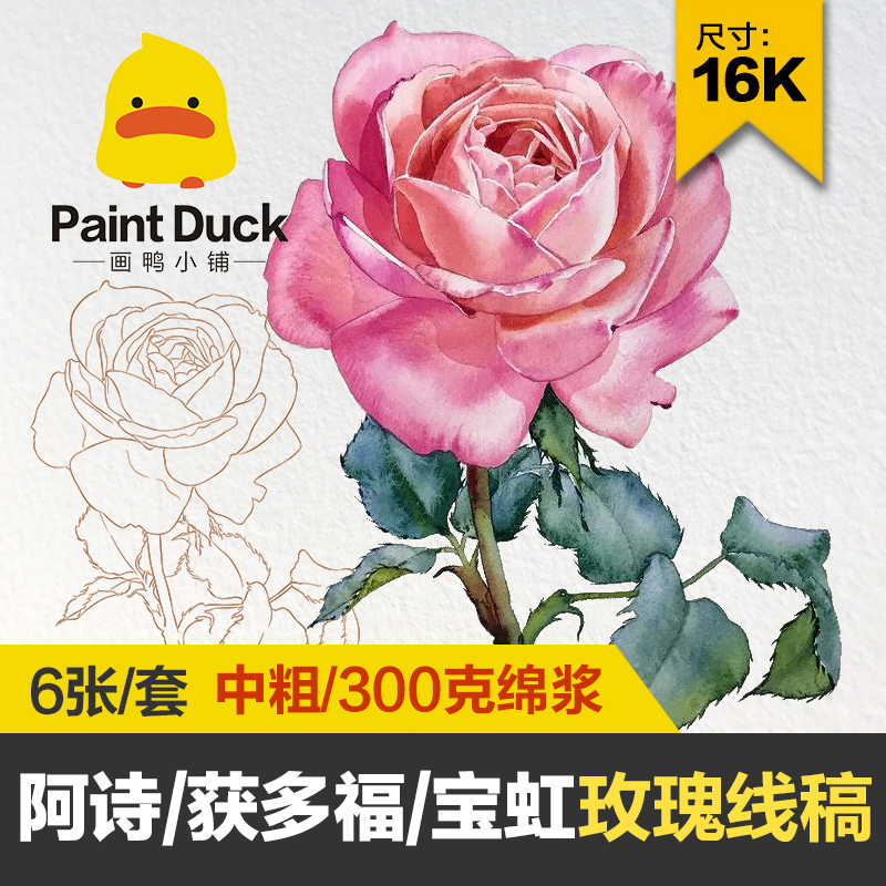 画鸭玫瑰花卉植物水彩线稿临摹草稿本水彩纸填色纸上色卡初学线描
