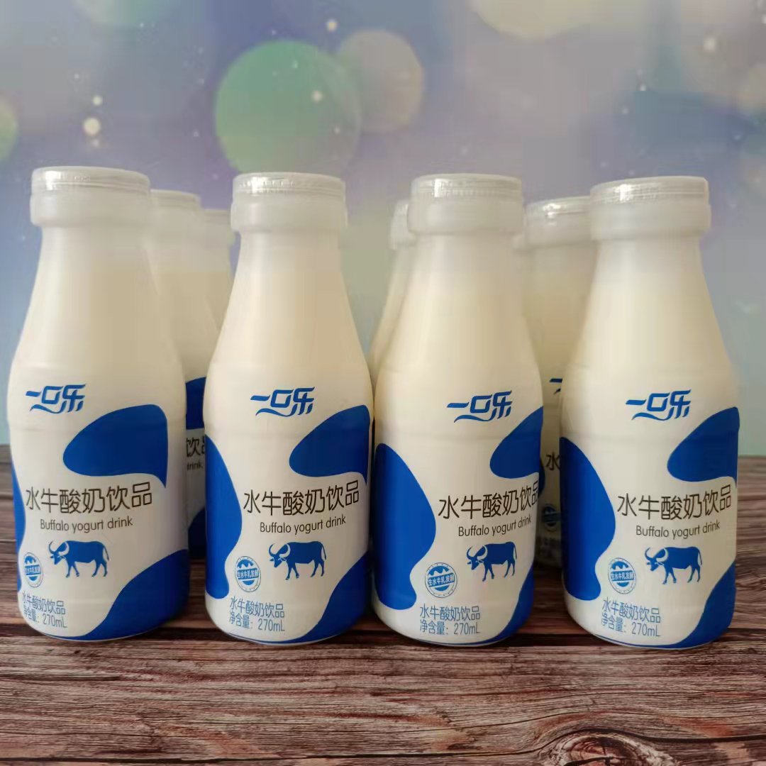 一口乐水牛酸奶学生营养早餐新西兰优质牛乳酸菌原味饮品整箱包邮