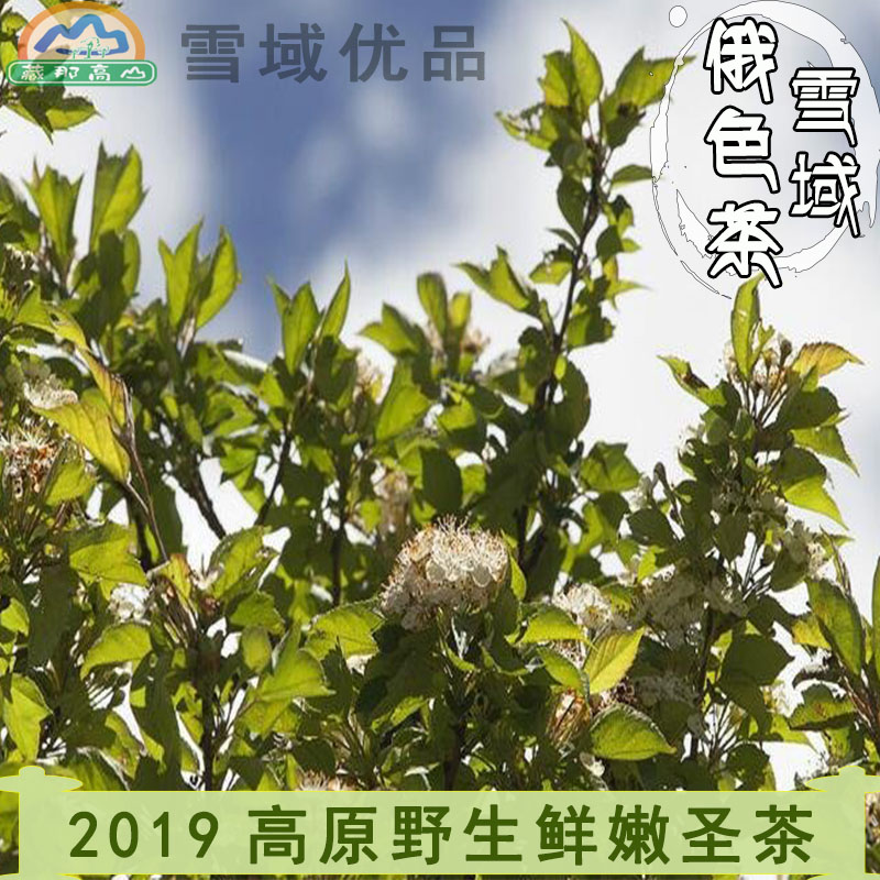 【雪域优品】四川高原特产甘孜俄色茶100g有益三高消火清热纯天然