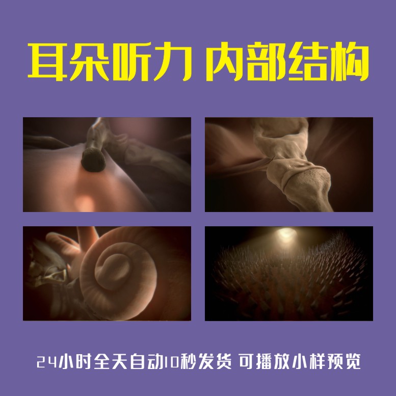 耳朵听力内部结构耳蜗听神经耳道震动医学医疗动画演示视频素材