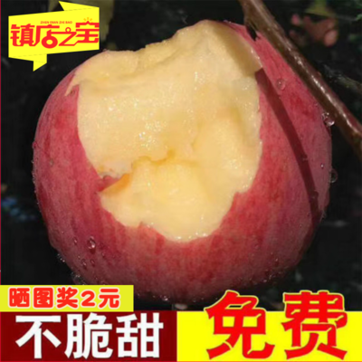 18颗壶口苹果水果新鲜当季特级大果酥脆甜陕西宜川糖心精品红富士