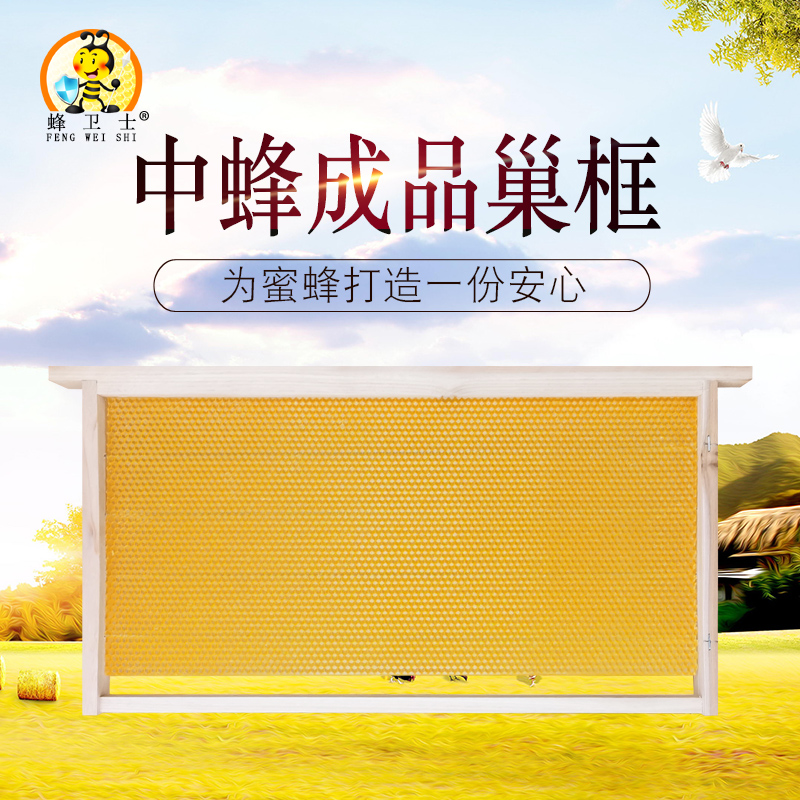 带巢础框成品巢框蜂巢中蜂意蜂杉木巢基蜜蜂巢框养蜂工具蜂箱包邮