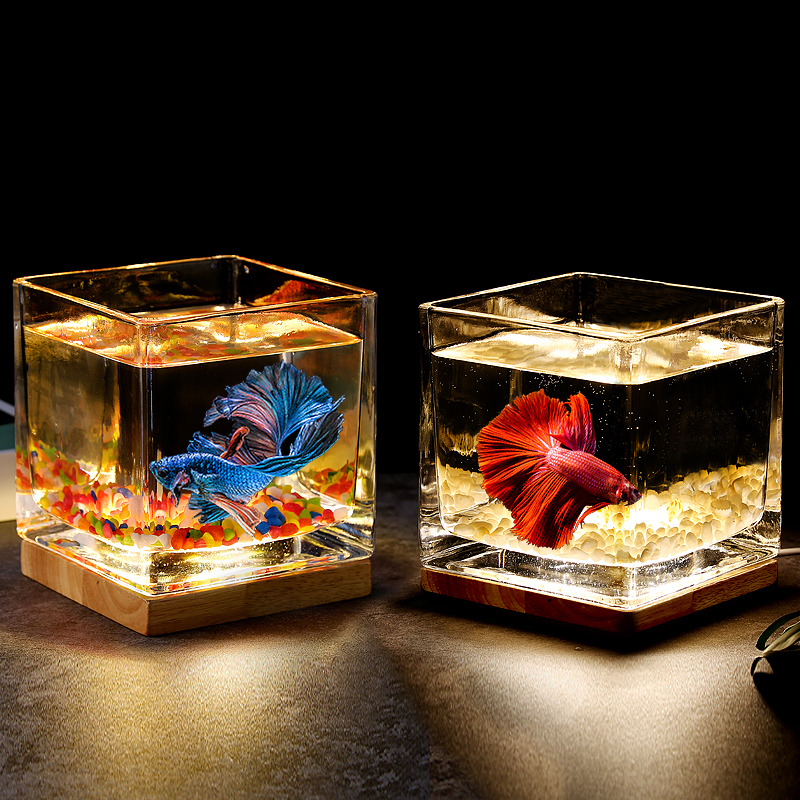 超白加厚方形玻璃鱼缸客厅办公桌面创意生态小型斗鱼缸夜灯迷你缸