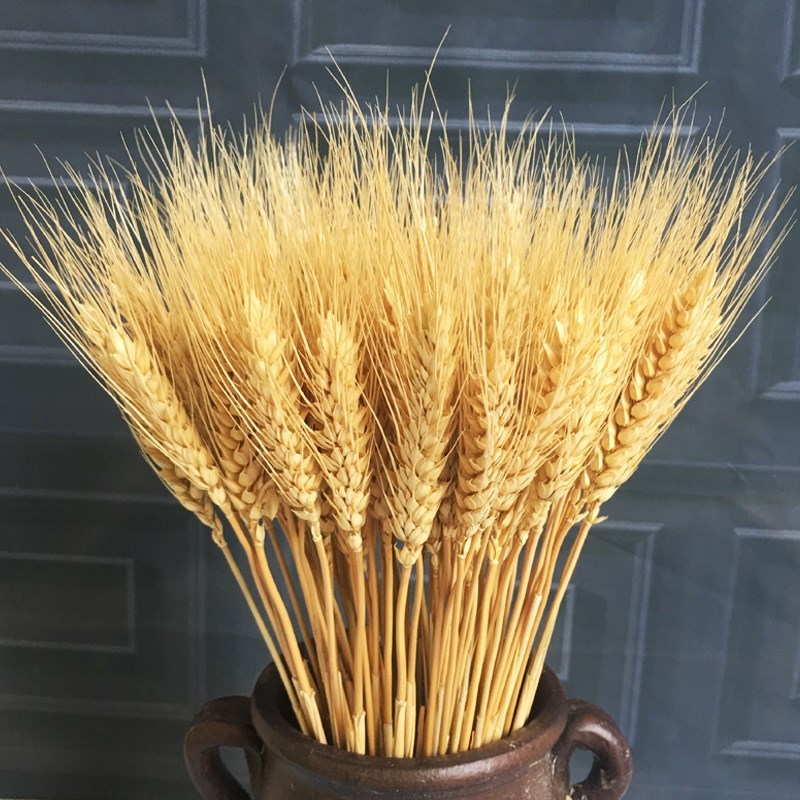23cm Wheat Ear Artificial Flowers Natural Dried Flowers For