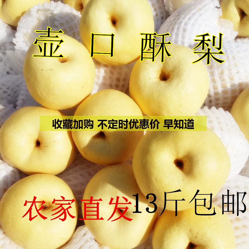 新果上市 宜川壶口酥梨特级包邮水梨苹果陕西农家特产