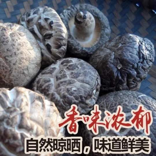韶关南雄特产/油山香菇 花菇 农家纯天然木头蘑菇食用菌粤北干货