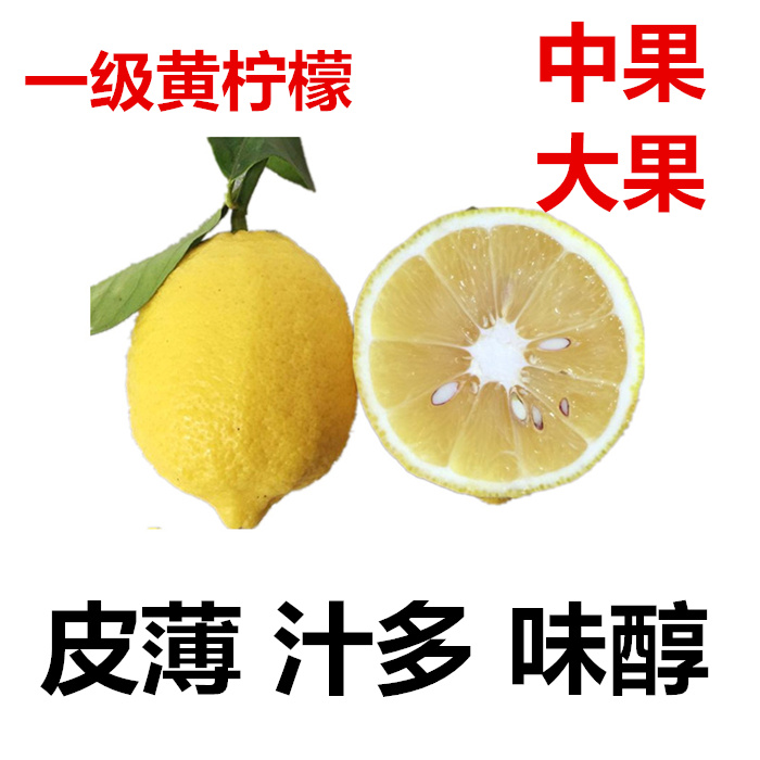 30斤装本季新鲜柠檬中果一级超市奶茶推荐安岳黄柠檬皮薄汁多味醇