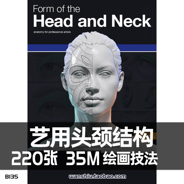 艺用人体解刨雕刻头颈结构骨骼肌肉美术绘画临摹参考资料CG素材图