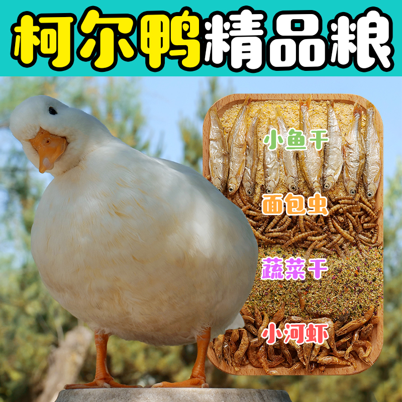 柯尔鸭饲料喂宠物小鸭专用大颗粒开口粮幼崽成年营养美毛网红鸭粮