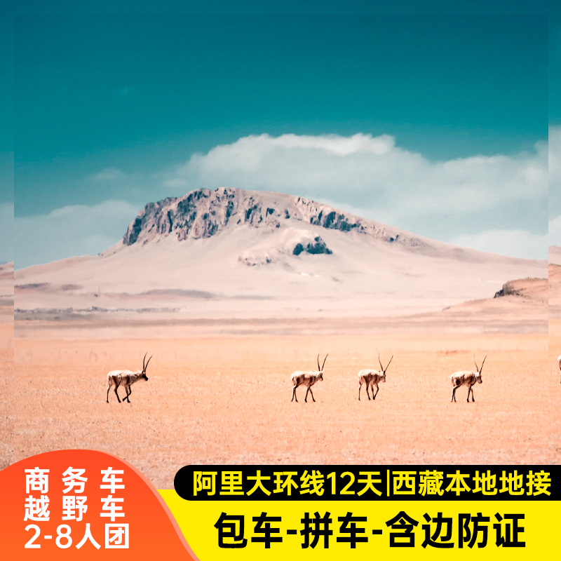 西藏阿里大环线12天珠峰一措再措纳木措圣象天门冈仁波齐可转山