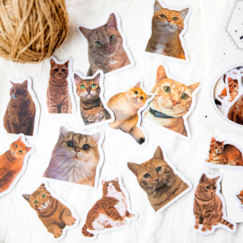 暮光之城贴纸包猫咪行动系列动物手账DIY素材装饰贴画30张入6款