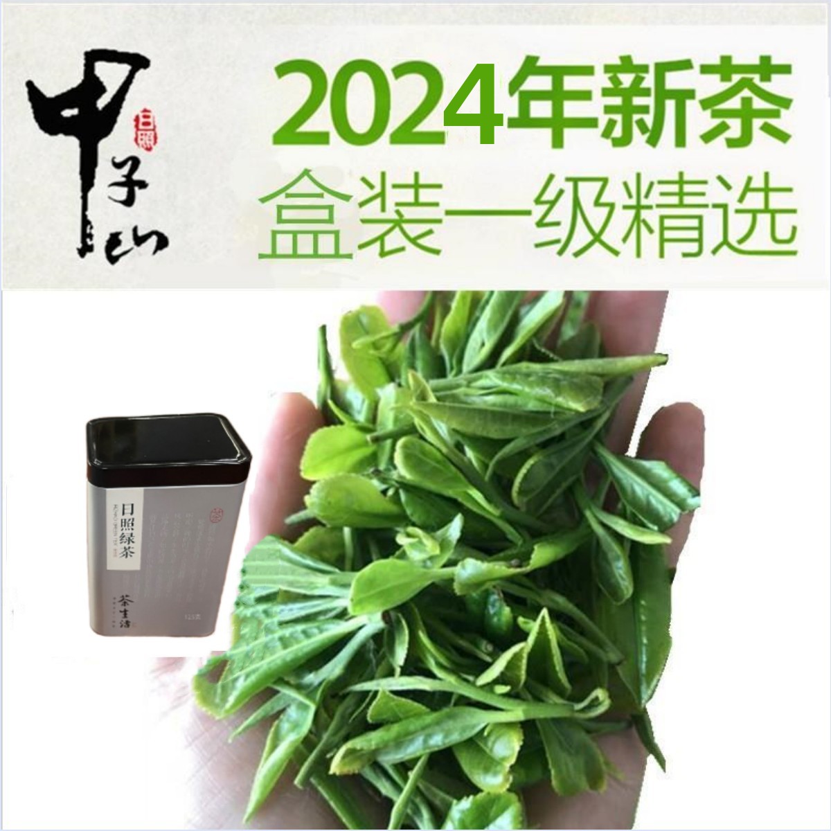 预售 一级精选甲子山日照绿茶2024新茶叶250g罐装 高山云雾绿茶