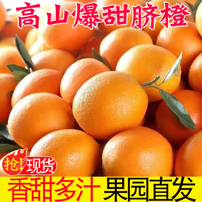 橙子江西赣南品种脐橙10斤水果当季整箱正宗赣州果冻橙冰糖甜手剥
