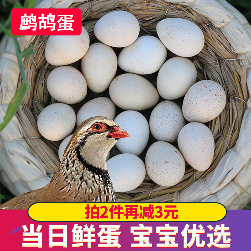 山东新鲜鹧鸪蛋30枚农家飞龙蛋营养辅食土蛋鸟蛋非鸽子蛋破损包赔