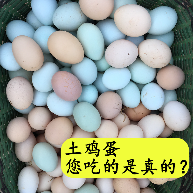 正宗农家林下散养土鸡蛋30枚包邮现捡现发新鲜草鸡蛋柴鸡蛋绿壳蛋