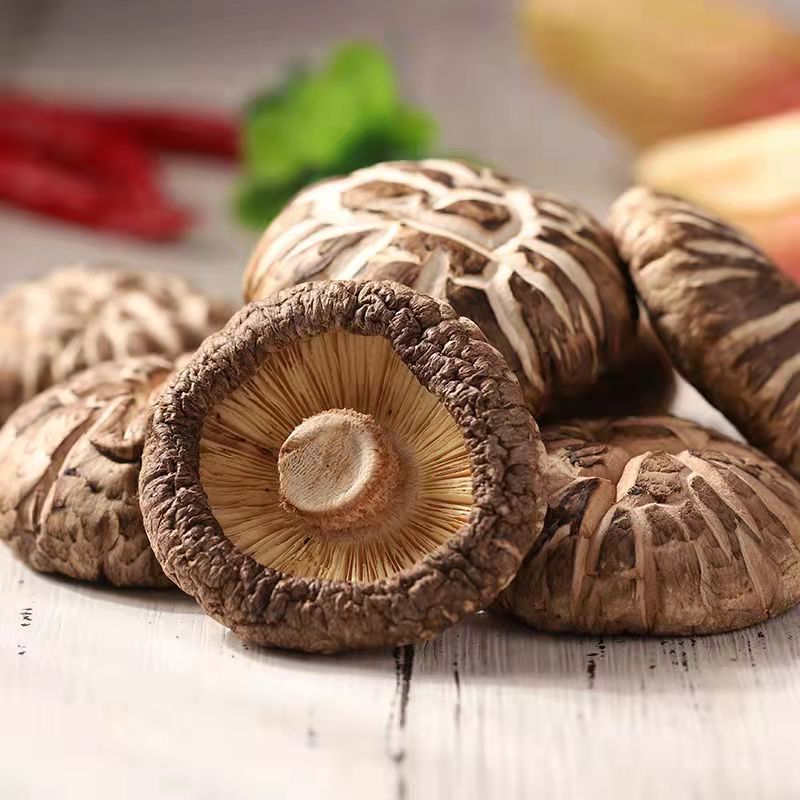 椴木花菇干货特香野生特产剪跟肉厚大花菇小花菇新鲜干货蘑菇500g