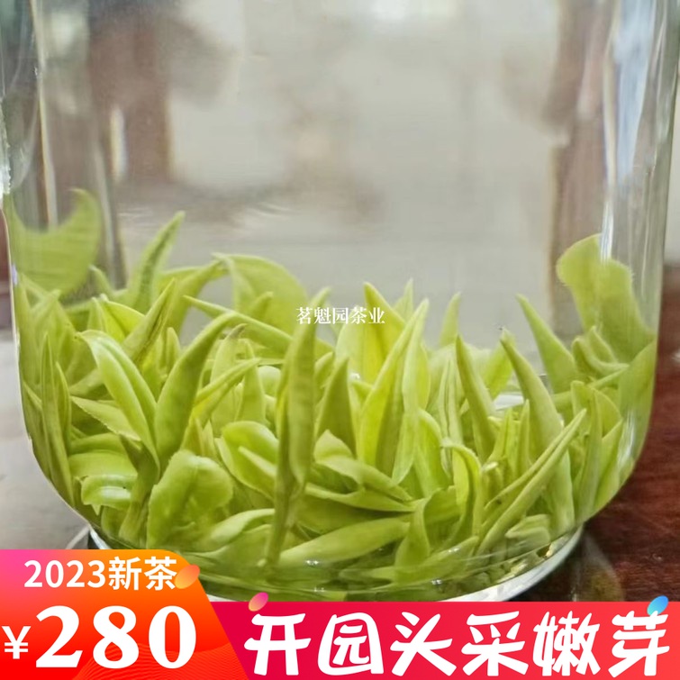 白茶2023安吉新茶 明前特级绿茶叶 春茶珍稀白叶开园头采嫩芽125g