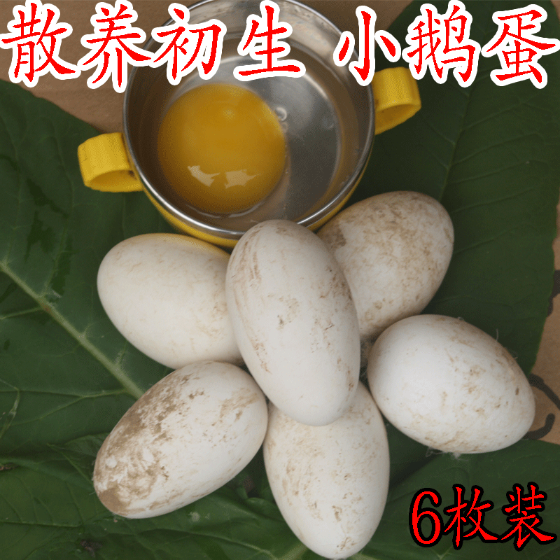 鹅蛋新鲜6枚孕妇农家杂粮喂养生大鹅蛋批发包邮80g-120g/个壳硬