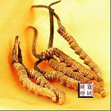 拉萨雪域藏地缘虫草藏红花天珠唐卡蜜蜡西藏药材工艺品