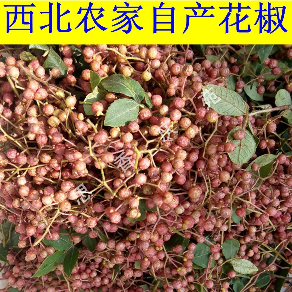 西北甘肃土特产庆阳农家新鲜花椒叶原生态干货100g促销调料美食品