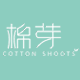 新乡cottonshoots棉芽