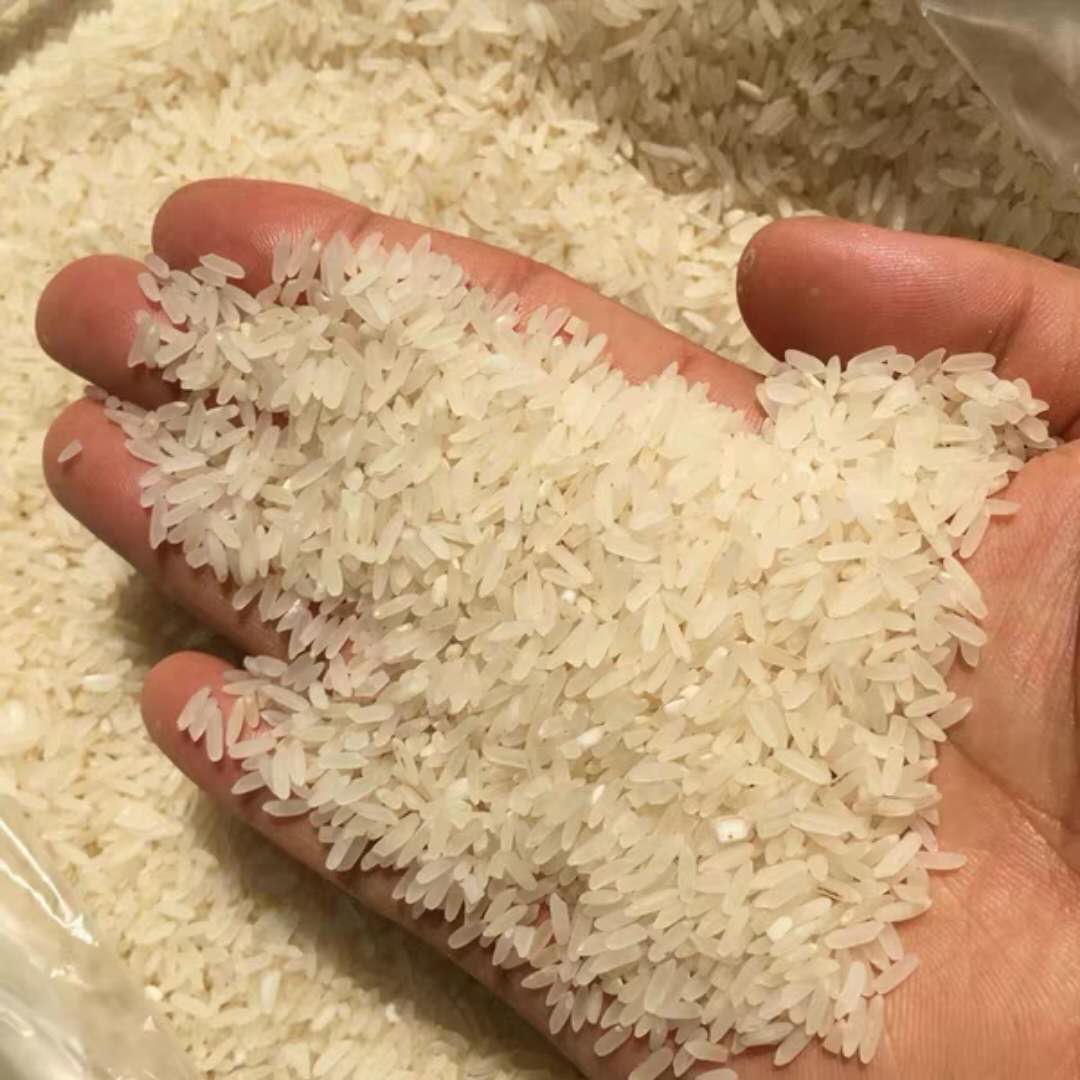潮汕农家自种现磨稻米2023年新米秋米晚稻米潮州本地大米5斤包邮