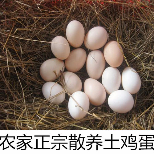 农村虫子鸡蛋生态食品绿色土鸡蛋散养鸡蛋新鲜土鸡蛋10枚装