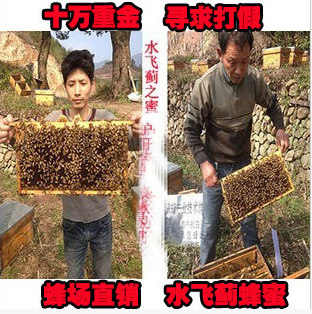野生土蜂蜜 纯正天然农家自产水飞蓟百花冬蜜 品蜜，成熟封盖