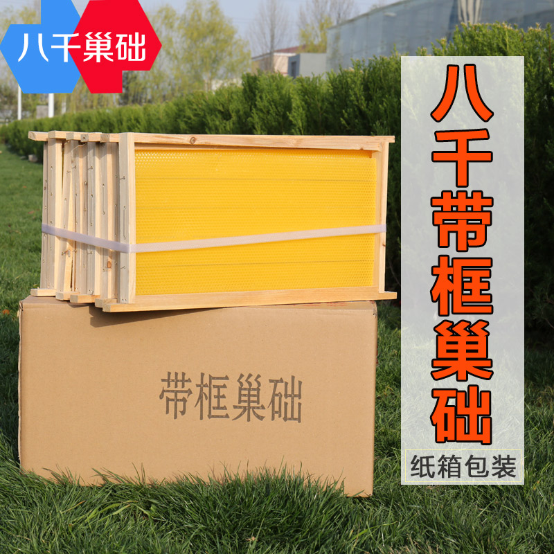 八千巢础意蜂成品巢框杉木蜂巢脾皮蜜蜂箱养蜂用10个装